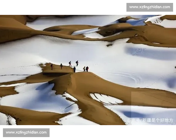 低调观赛也能尽享精彩瞬间感受体育魅力的独特体验