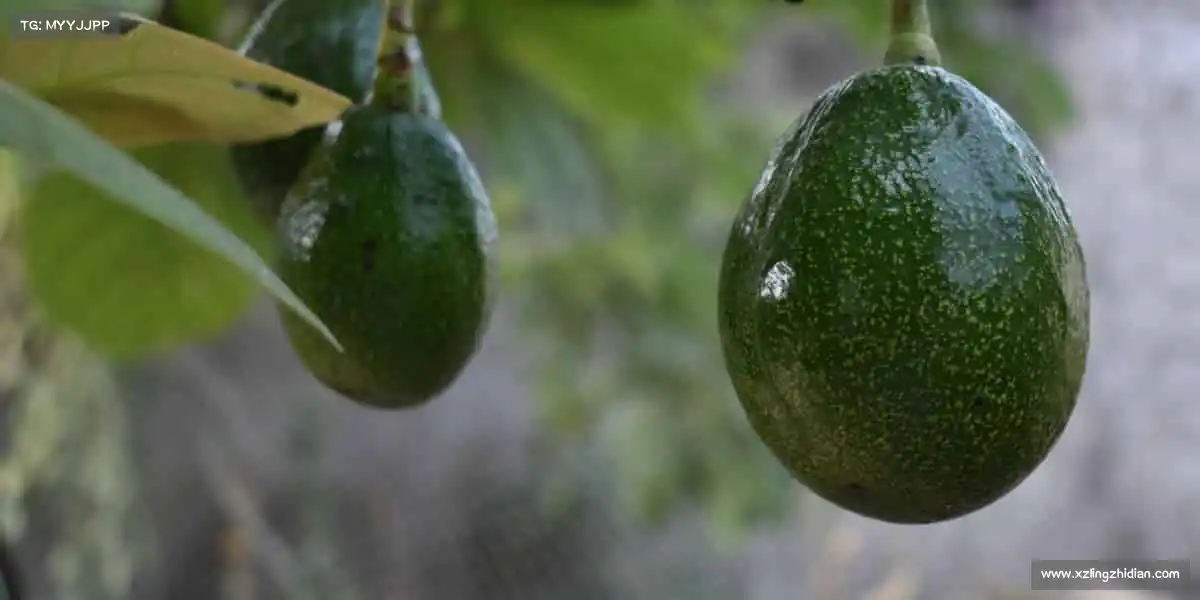 AG庄闲集团🏊‍♀️碧波中迸发力量，赛场上绽放光芒 —— 你的精彩，值得被看见！