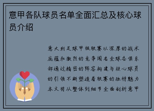 意甲各队球员名单全面汇总及核心球员介绍